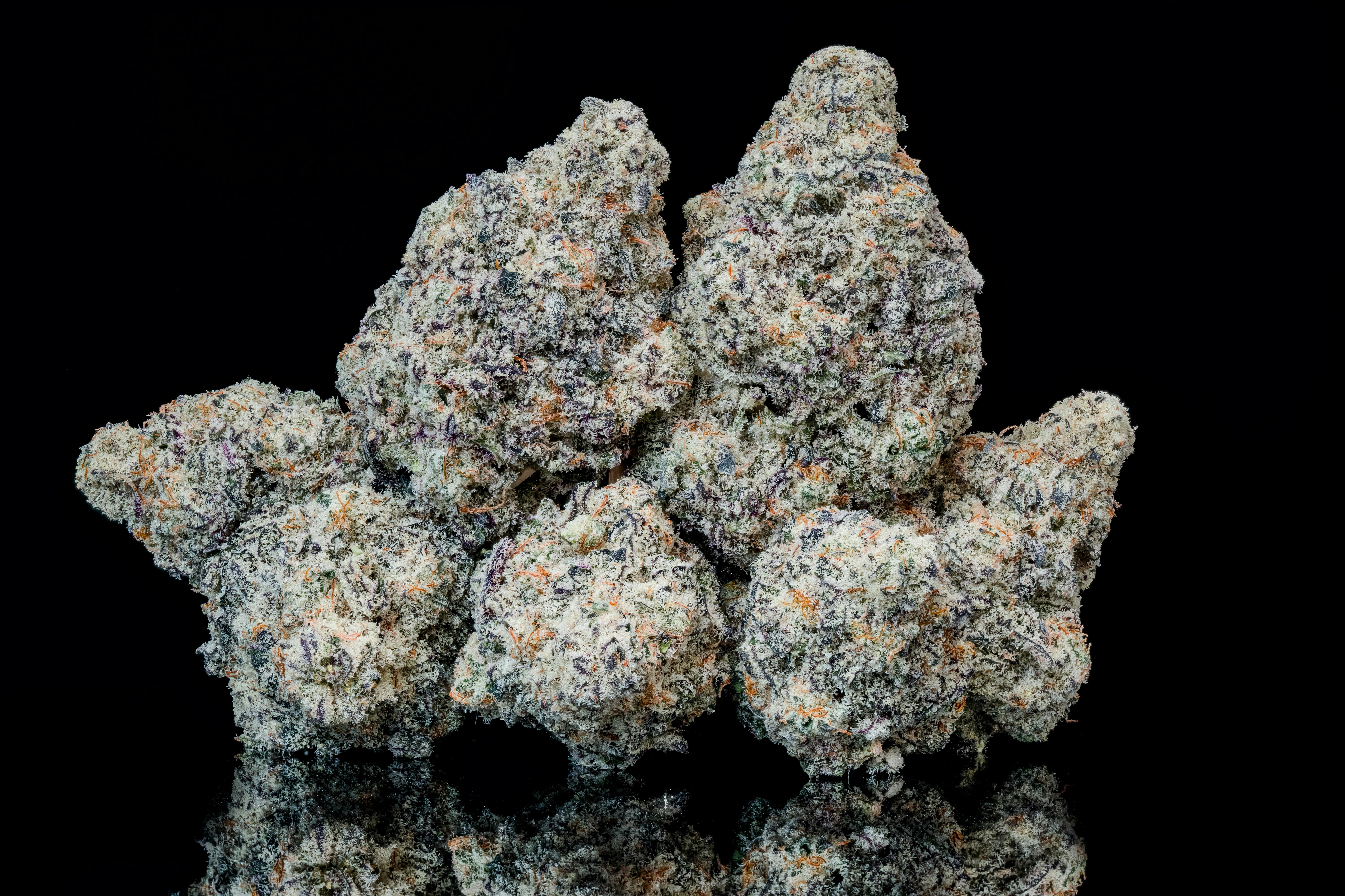 MAC 1
