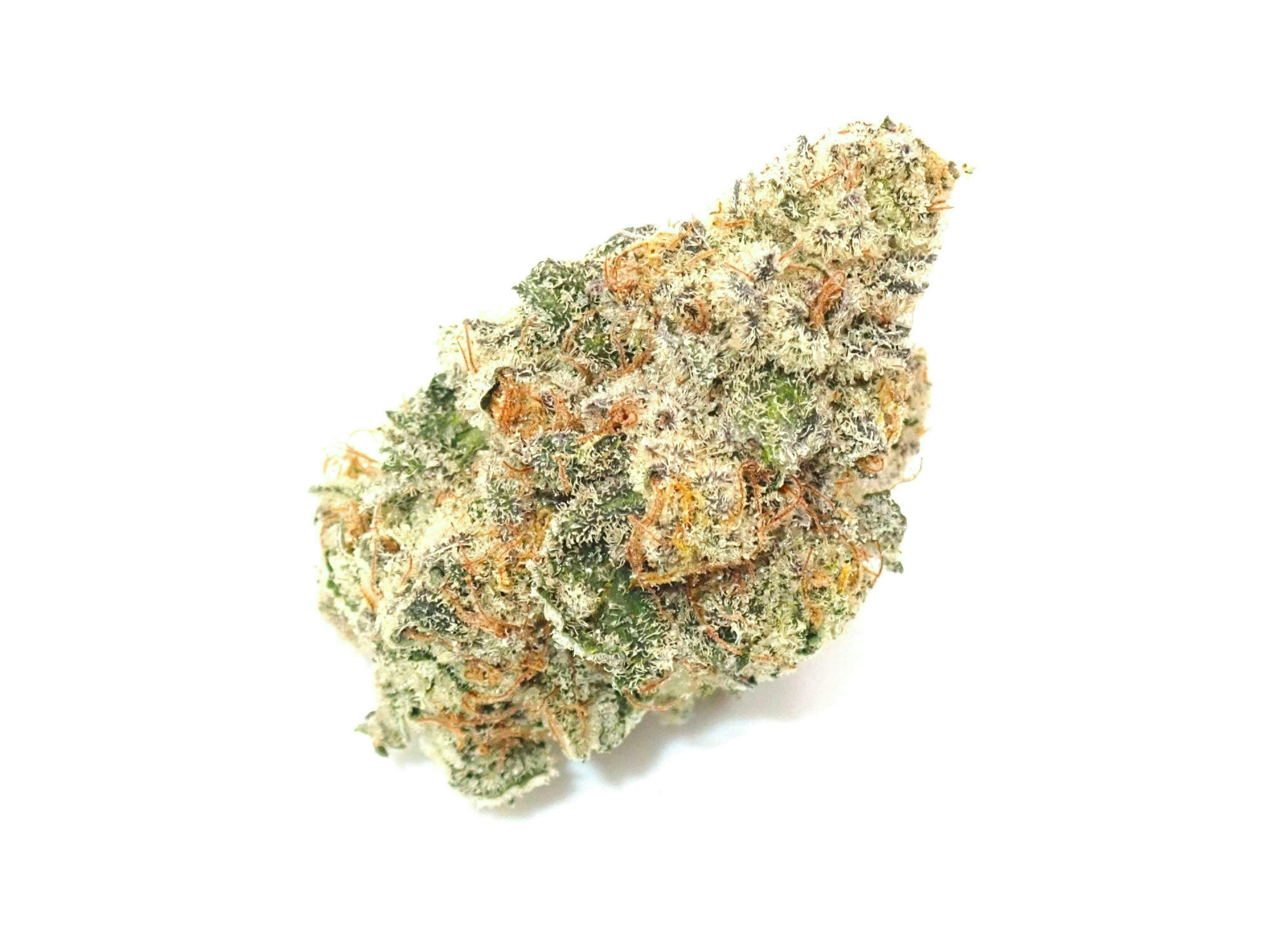 Fizz - 28g