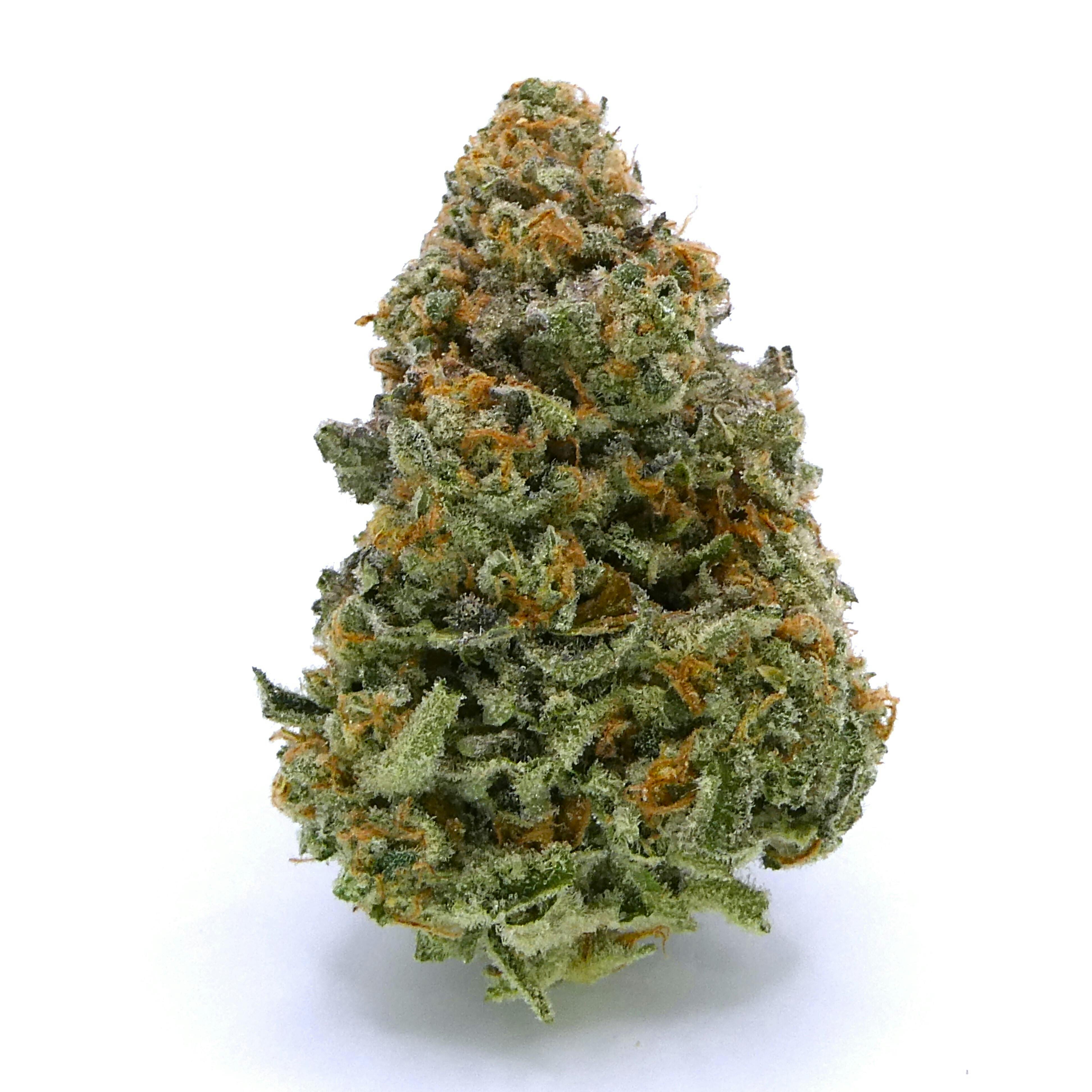 Avitas: Limonada Buds