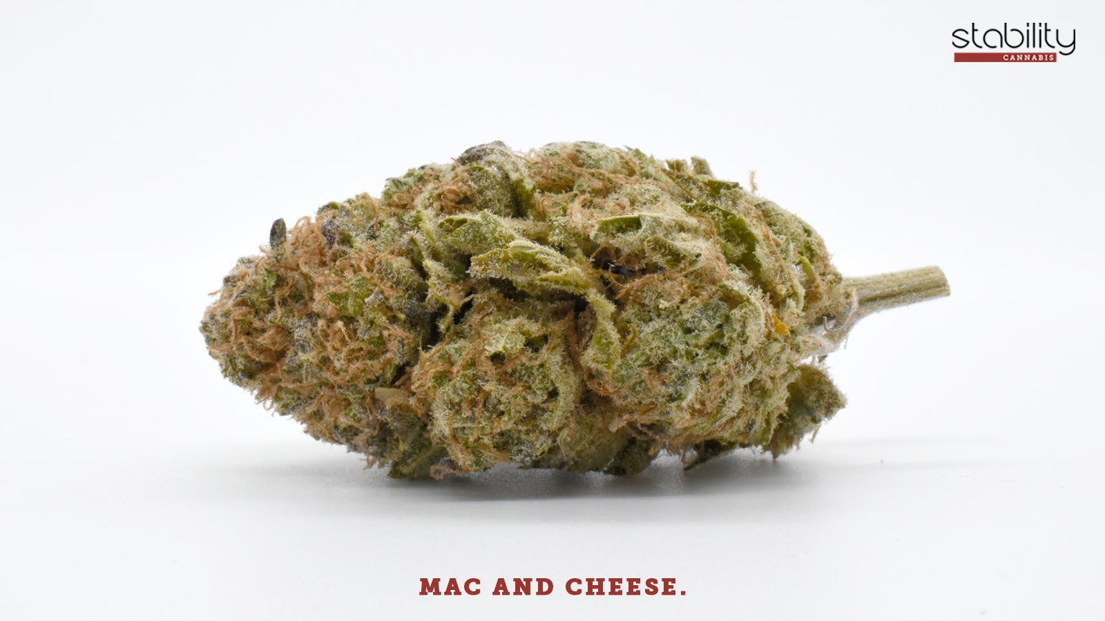 Mac and Cheese