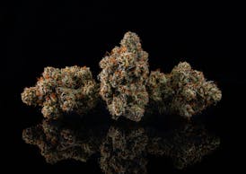 Donkey Butter #9