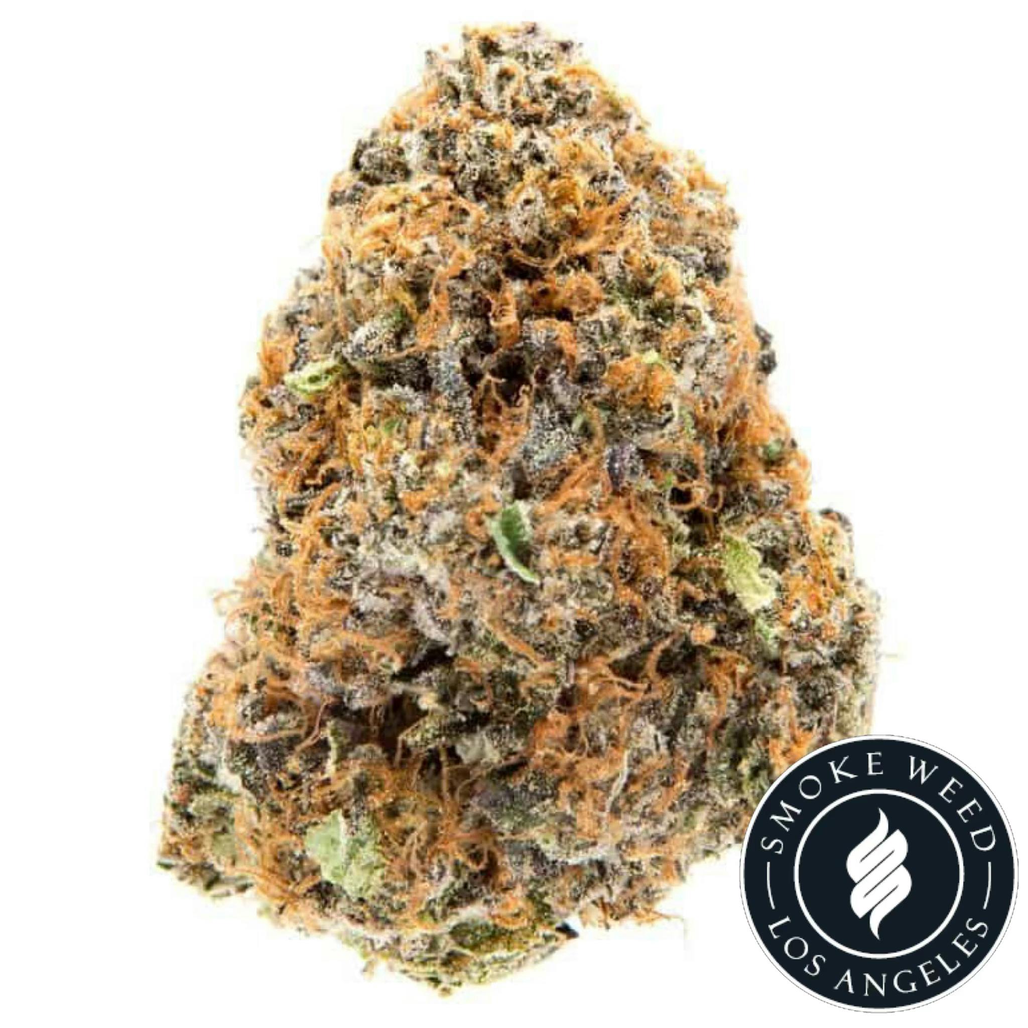 Strain Review