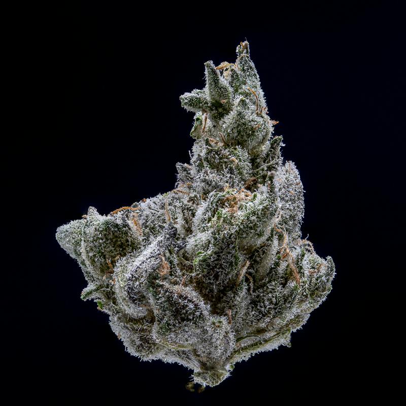 Han Solo Burger by JAR Cannabis Co. by JAR Cannabis Co.