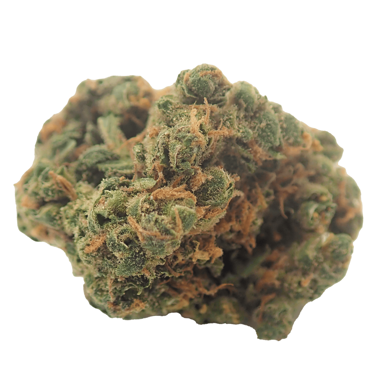 20:1 Pineapple Super Silver Haze (PSH)
