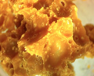 Lost at Sea .5g Crumble