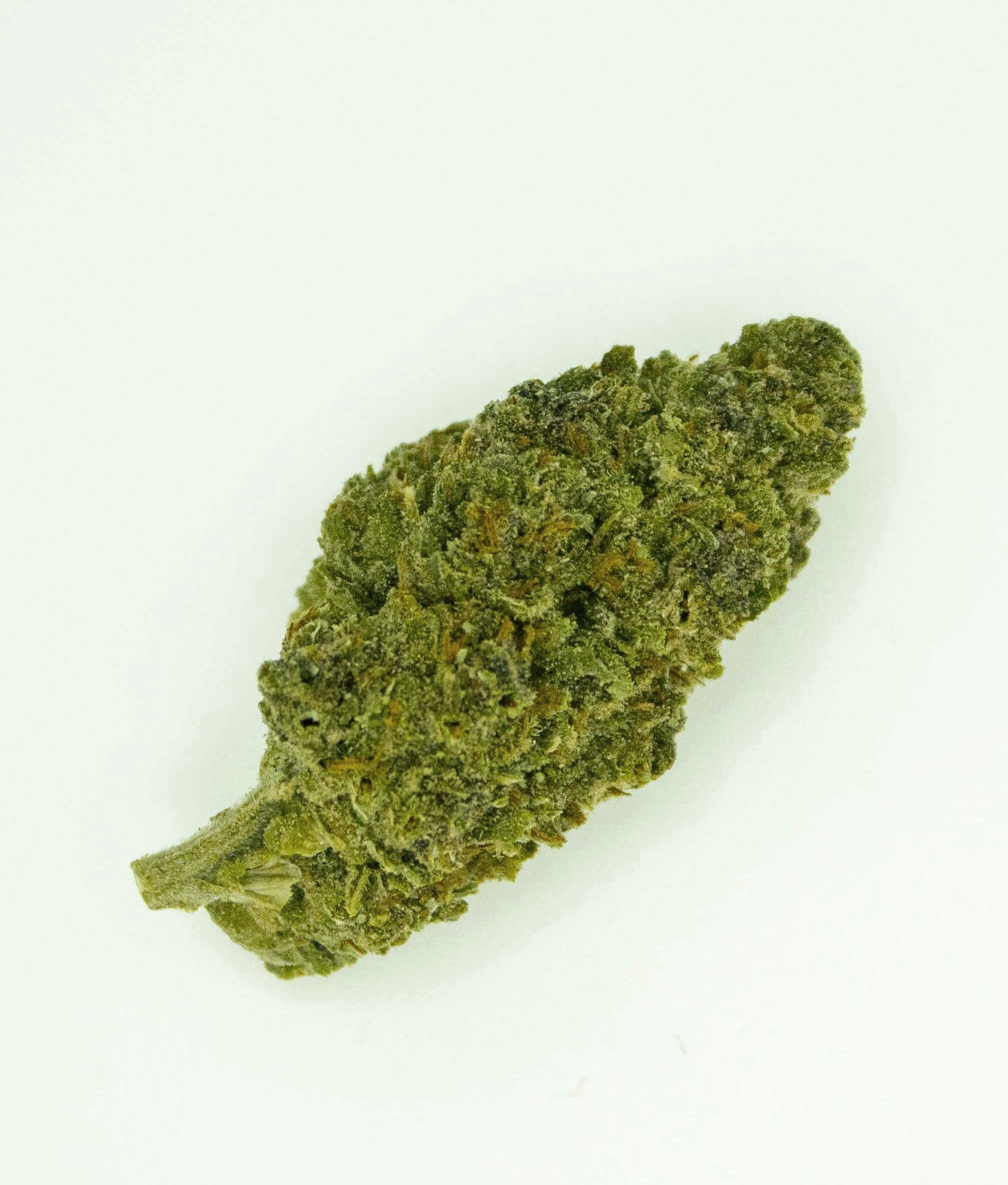 Grand Daddy Purple 1 Gram (26% THC, Indica) - Trusty Transportations