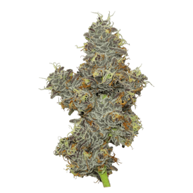 Carbon Fiber Deli Flower