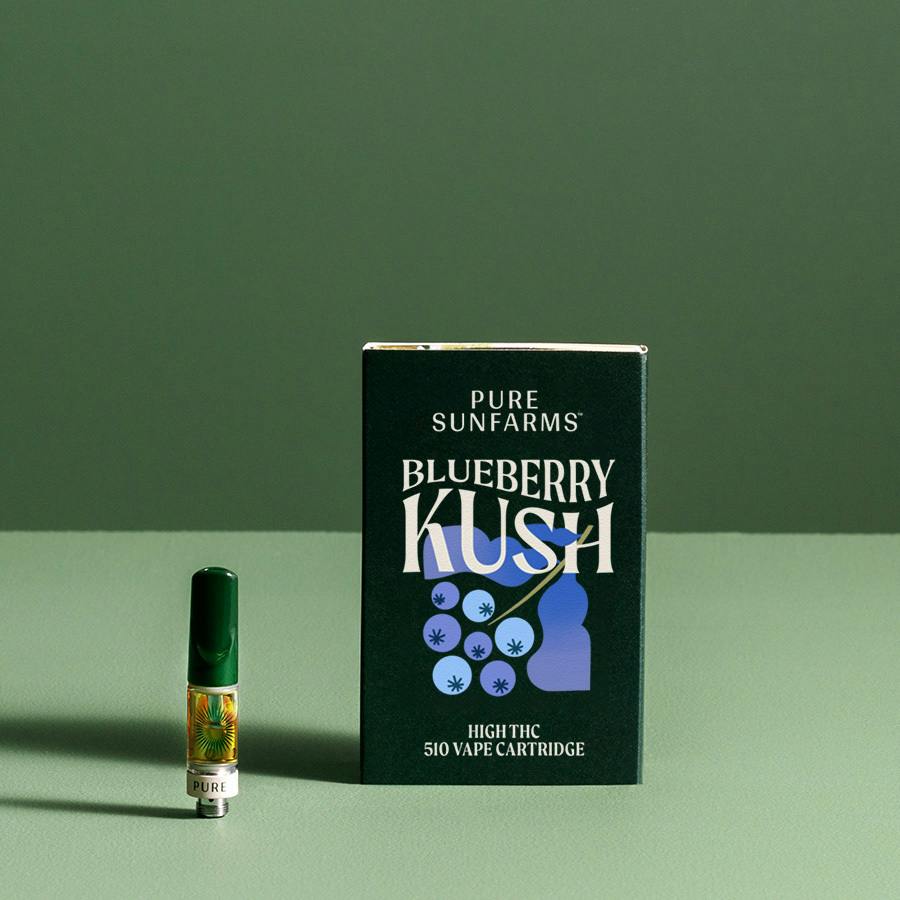 Blueberry Kush | Cartridge | 1g