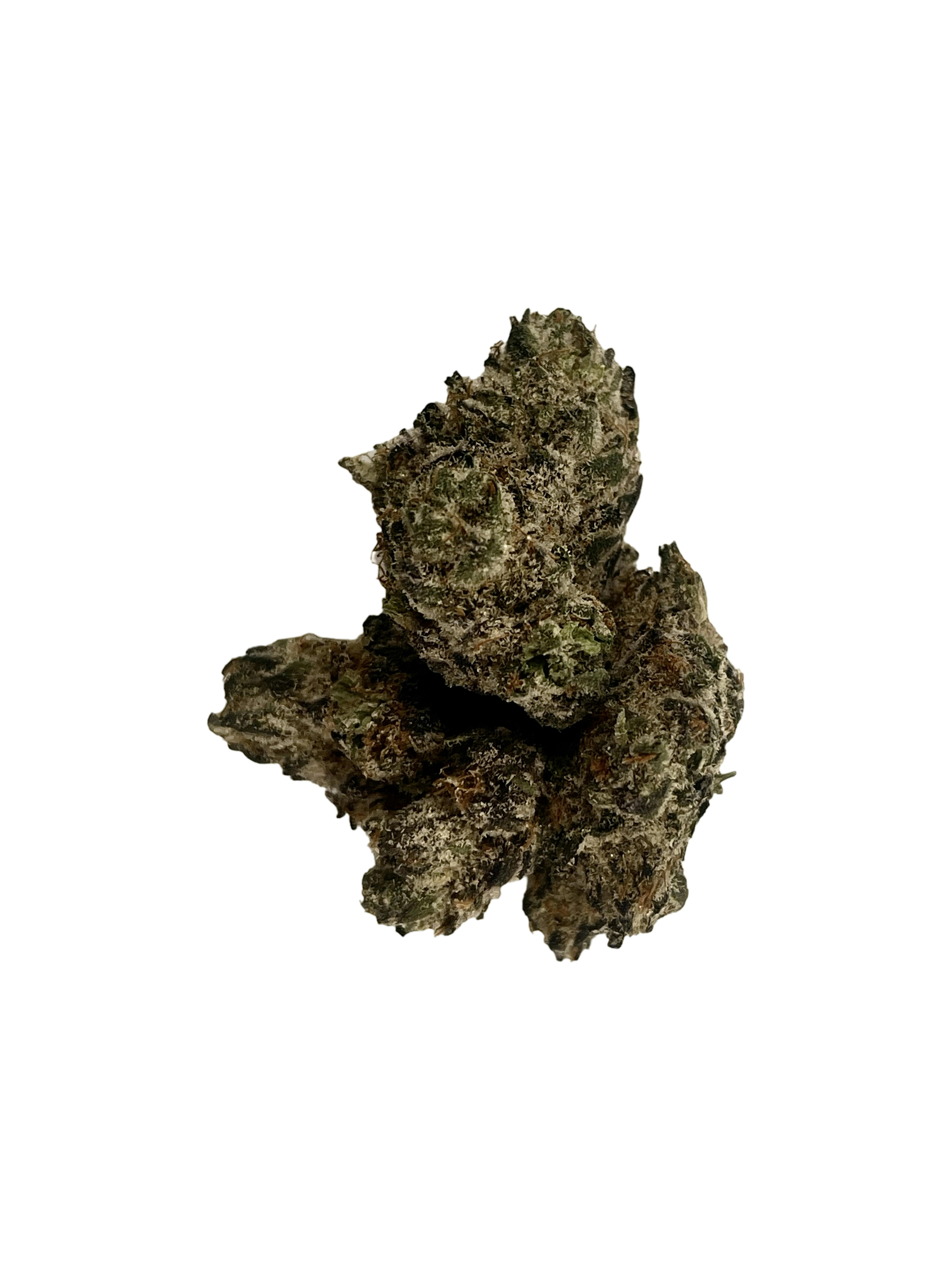 Ice Cream Cake - Indico at Wild Wild Weed