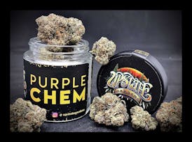Flower: Purple Chem