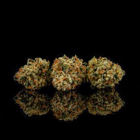 Motorbreath #15
