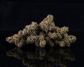 Gorilla Butter (White Truffle)