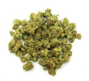 Humboldt Growers Network: 14G ALOHA FLOWER