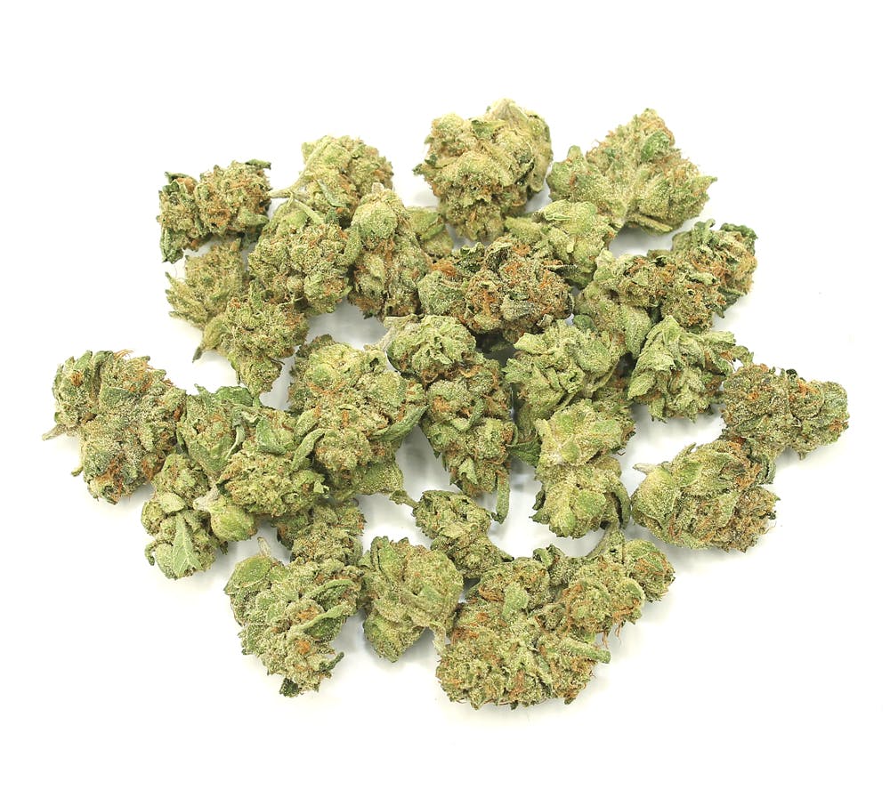 Humboldt Growers Network: OG Kush