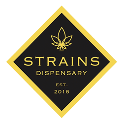 Cherry Cheesecake #10