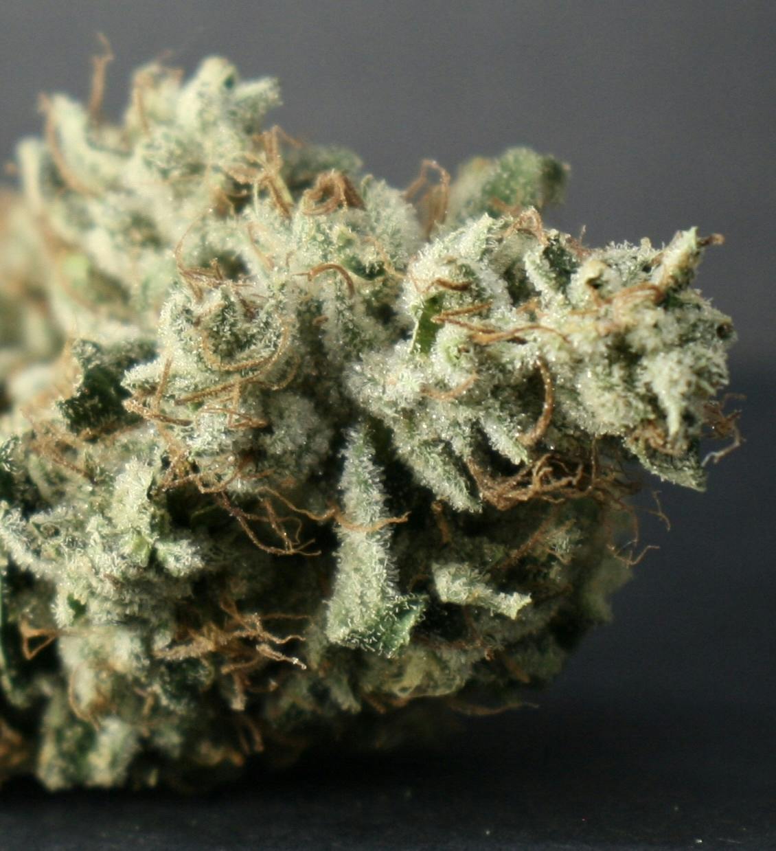 Super Silver Haze by The Frost Factory