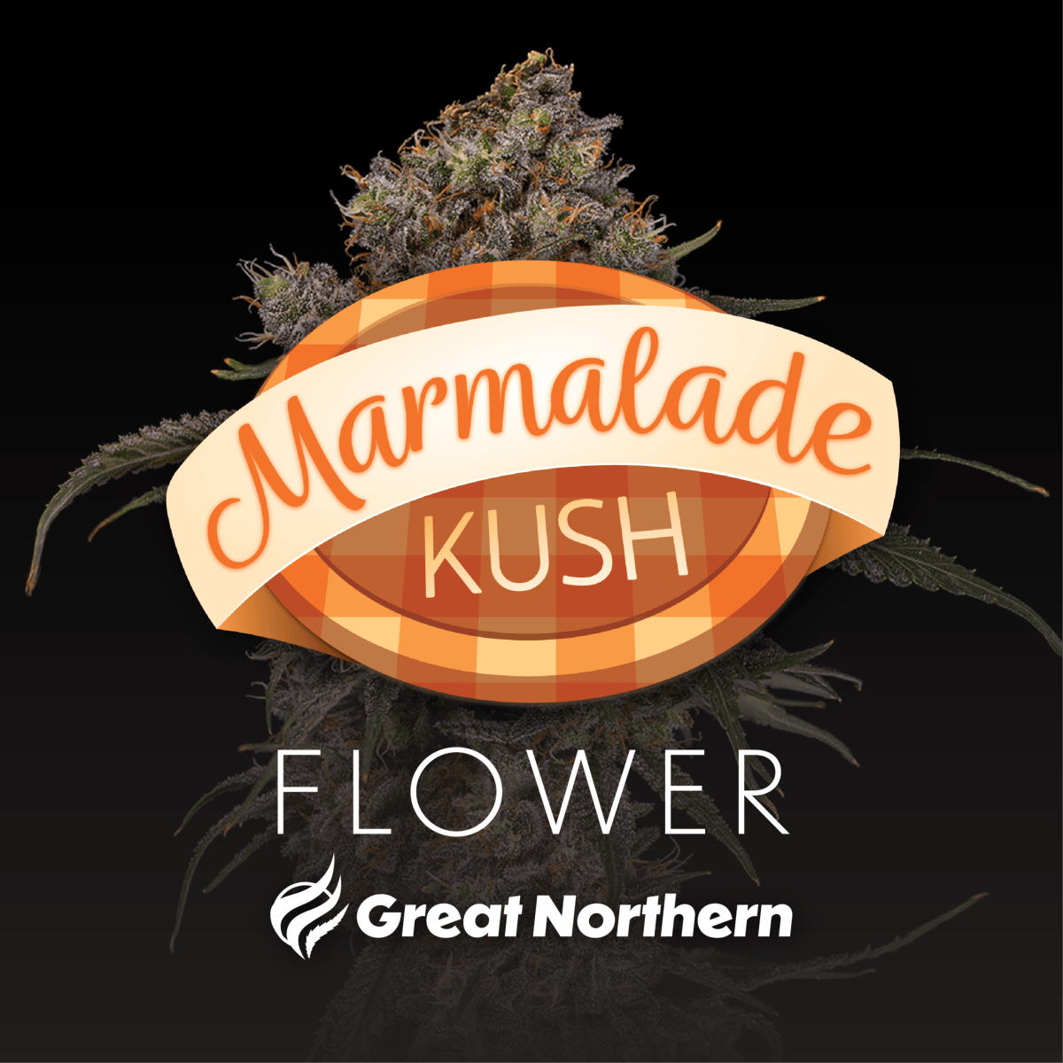 Great Northern Cannabis Marmalade Kush (Hybrid) by Great Northern Cannabis