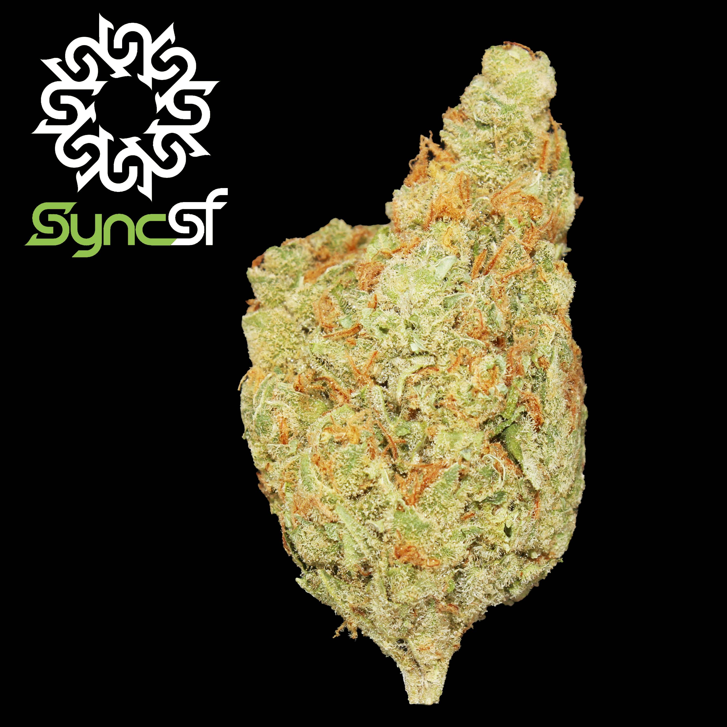 Super Lemon Haze - Sync SF