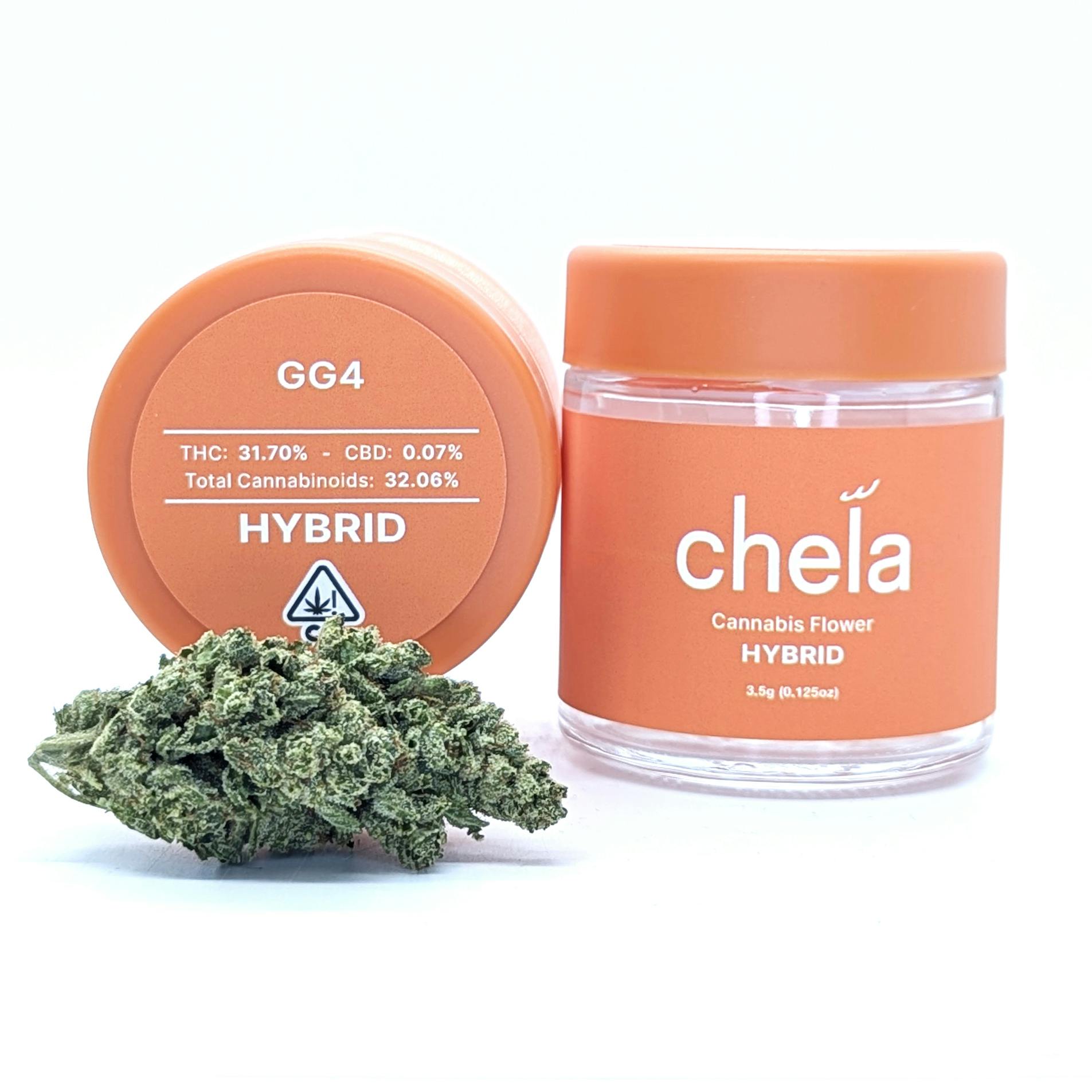 Chela — GG4