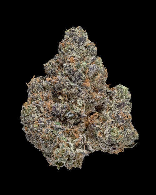 Forum Cut Girl Scout Cookies