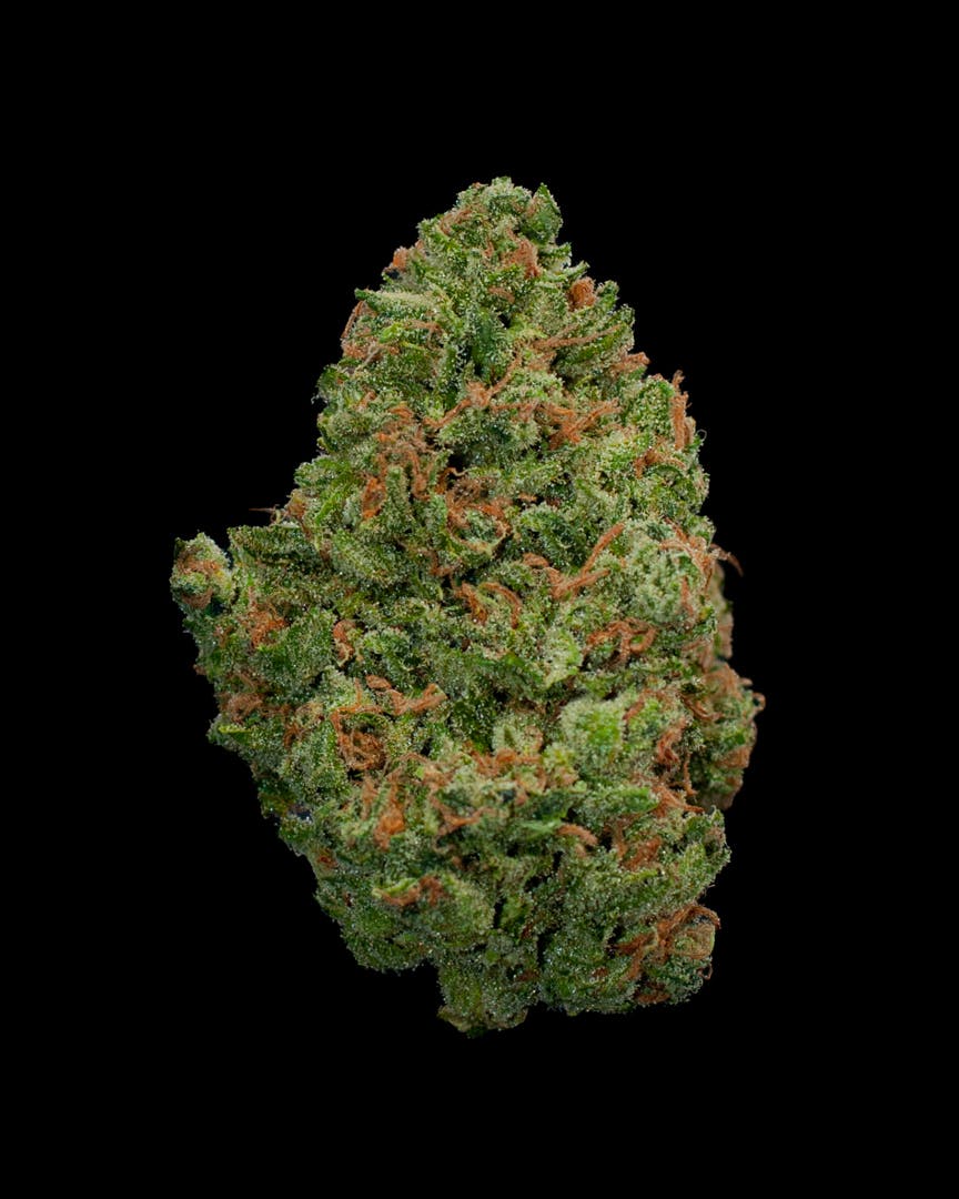 Oregon Roots: 9lb Hammer