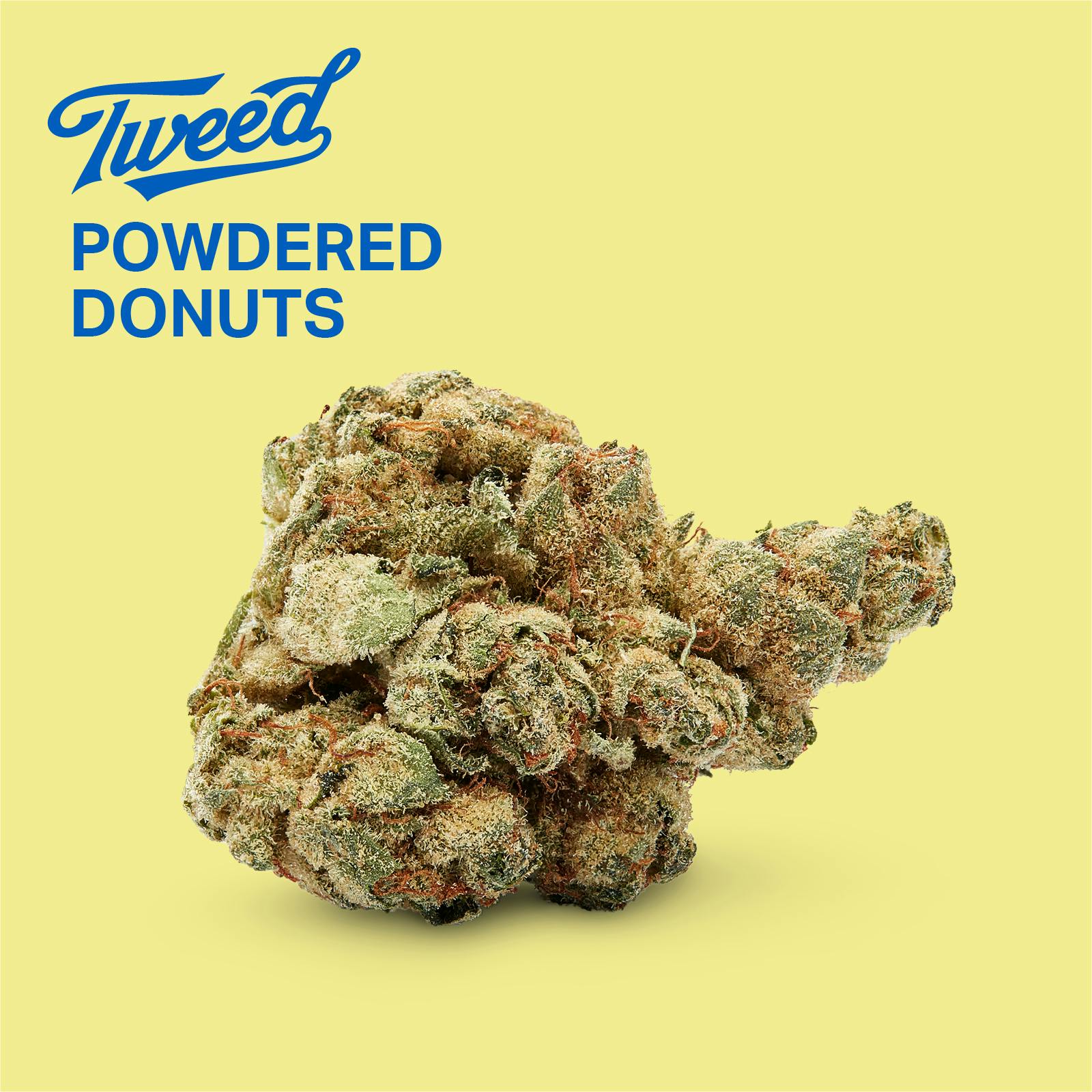 Powdered Donuts