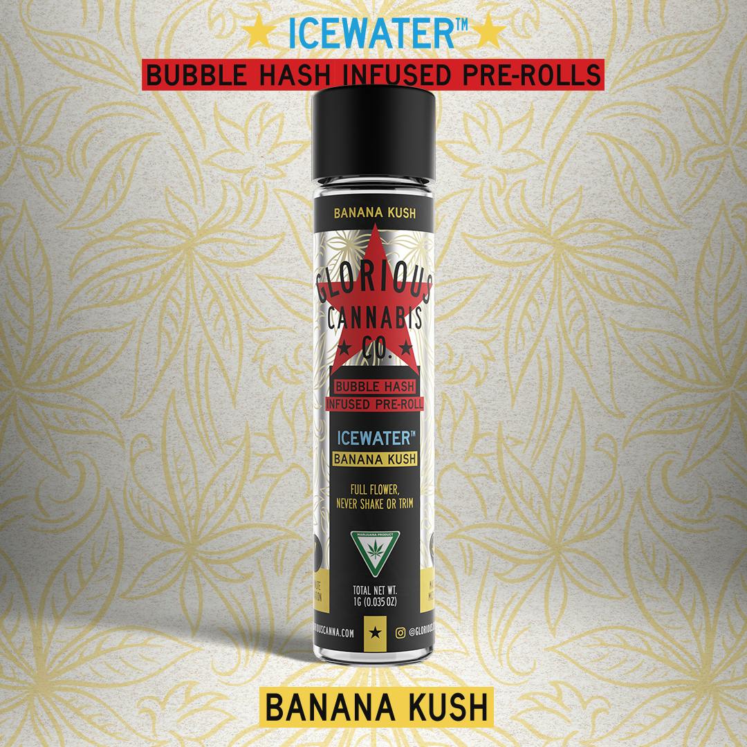 Banana Kush 1G ICEWATER Bubble Hash Infused Glorious Cannabis Co