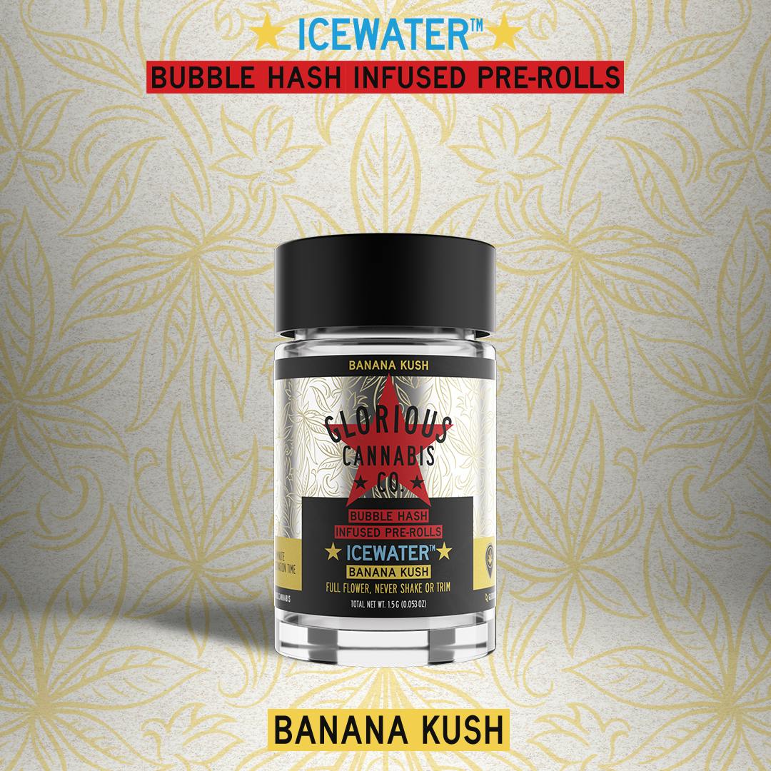 Banana Kush MultiPack Bubble Hash Infused Glorious Cannabis Co. Glorious Cannabis Company
