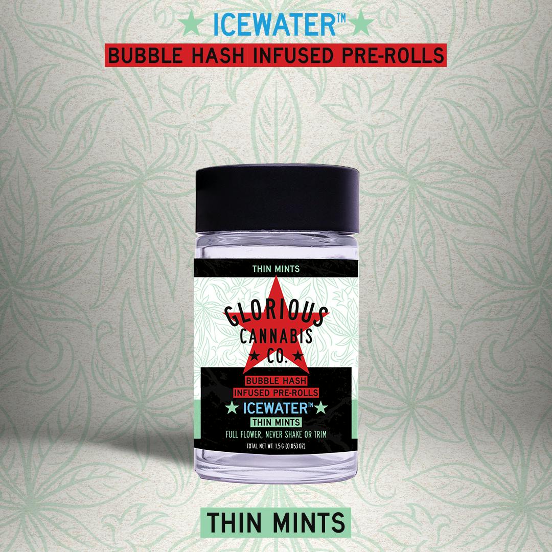 Thin Mints Multipack | Bubble Hash Infused Pre-Roll | Glorious Cannabis Co.