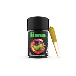 Lime - Lime - Watermelon Runtz - 5pk Infused Lil' Lime Prerolls - (Hybrid)