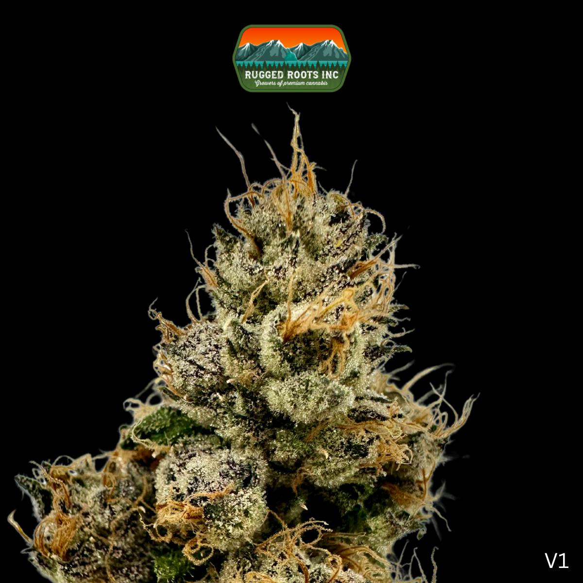 Rugged Roots | Runtz 3.5g by Rugged Roots