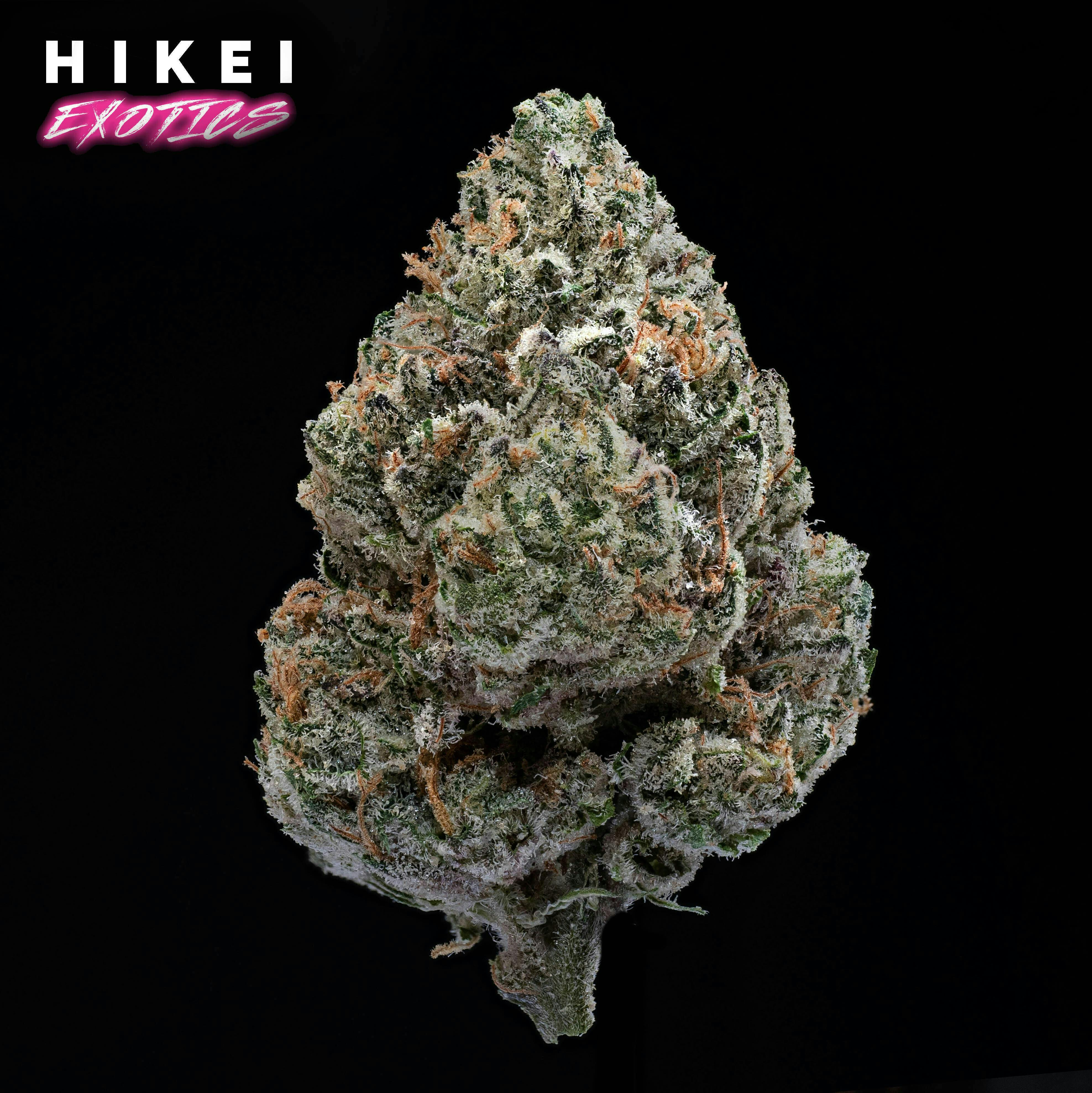 Hikei Exotics — Mintz