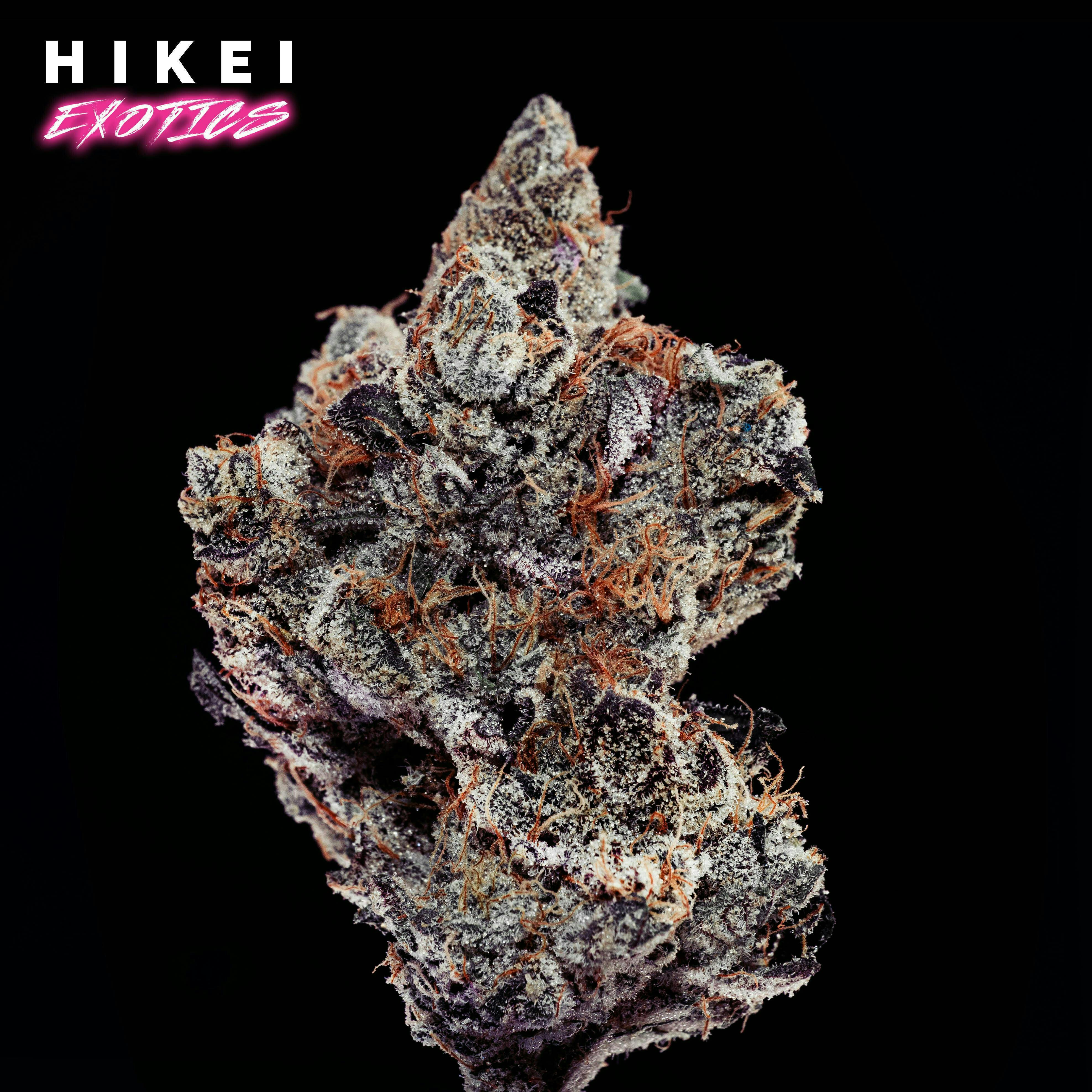 Hikei Exotics: Garlic Gum