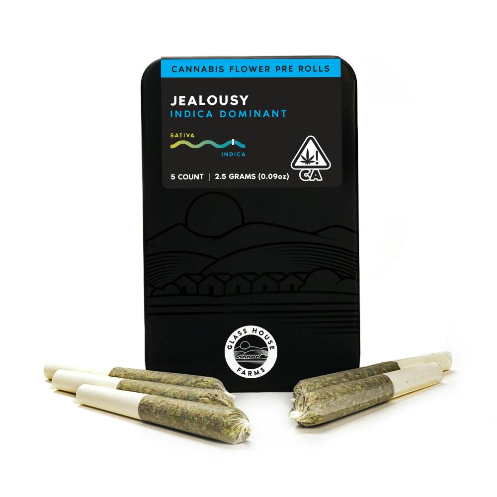 Jealousy [5 Pack]