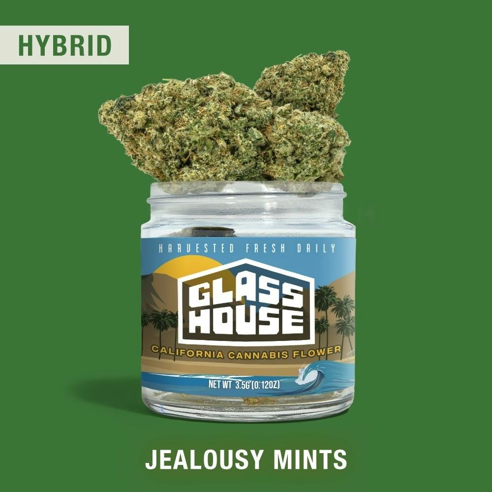 Jealousy Mints [3.5g Jar]
