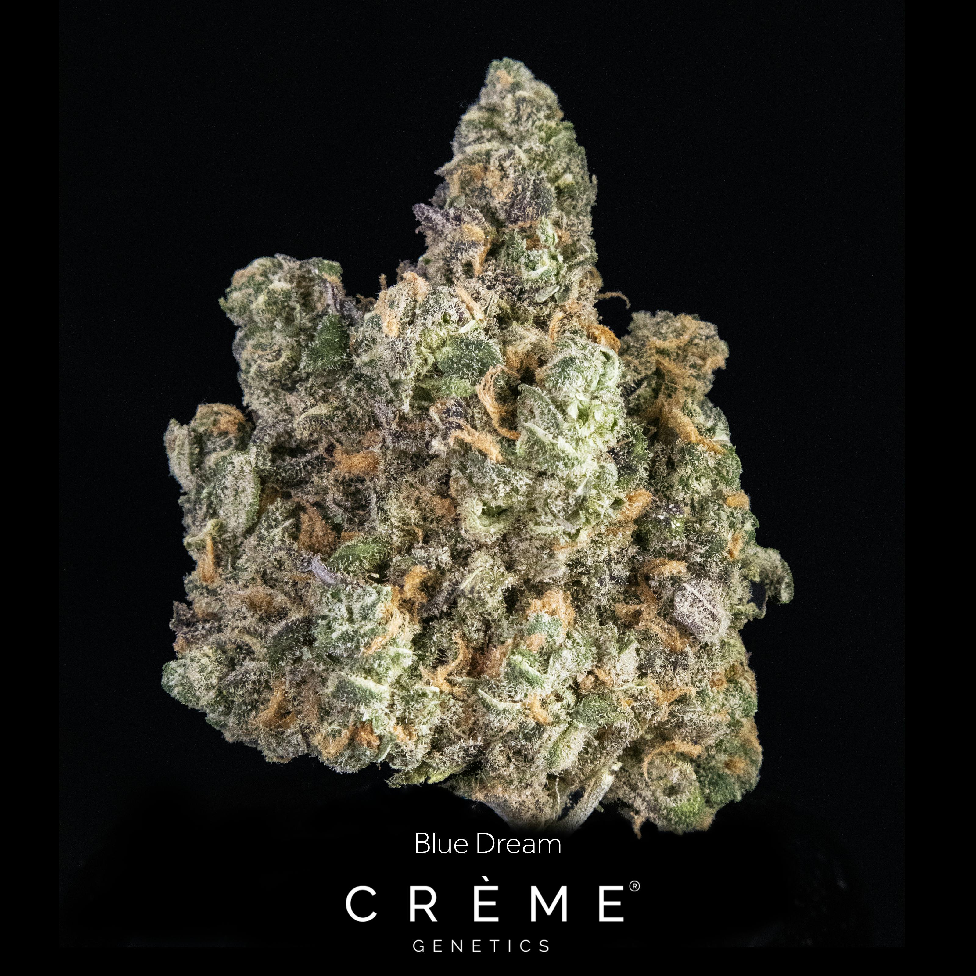 Blue Dream (24% THC Sativa)