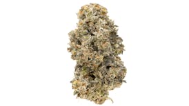 Miracle Alien Cookies