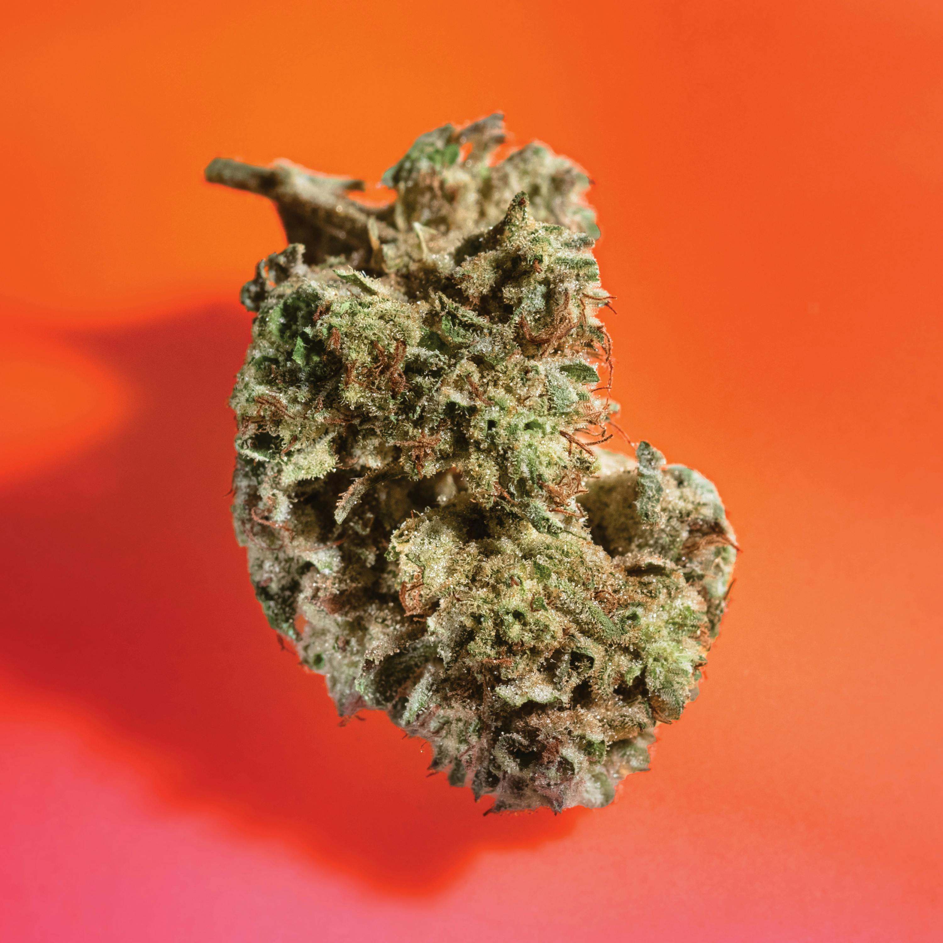 Super Glue
