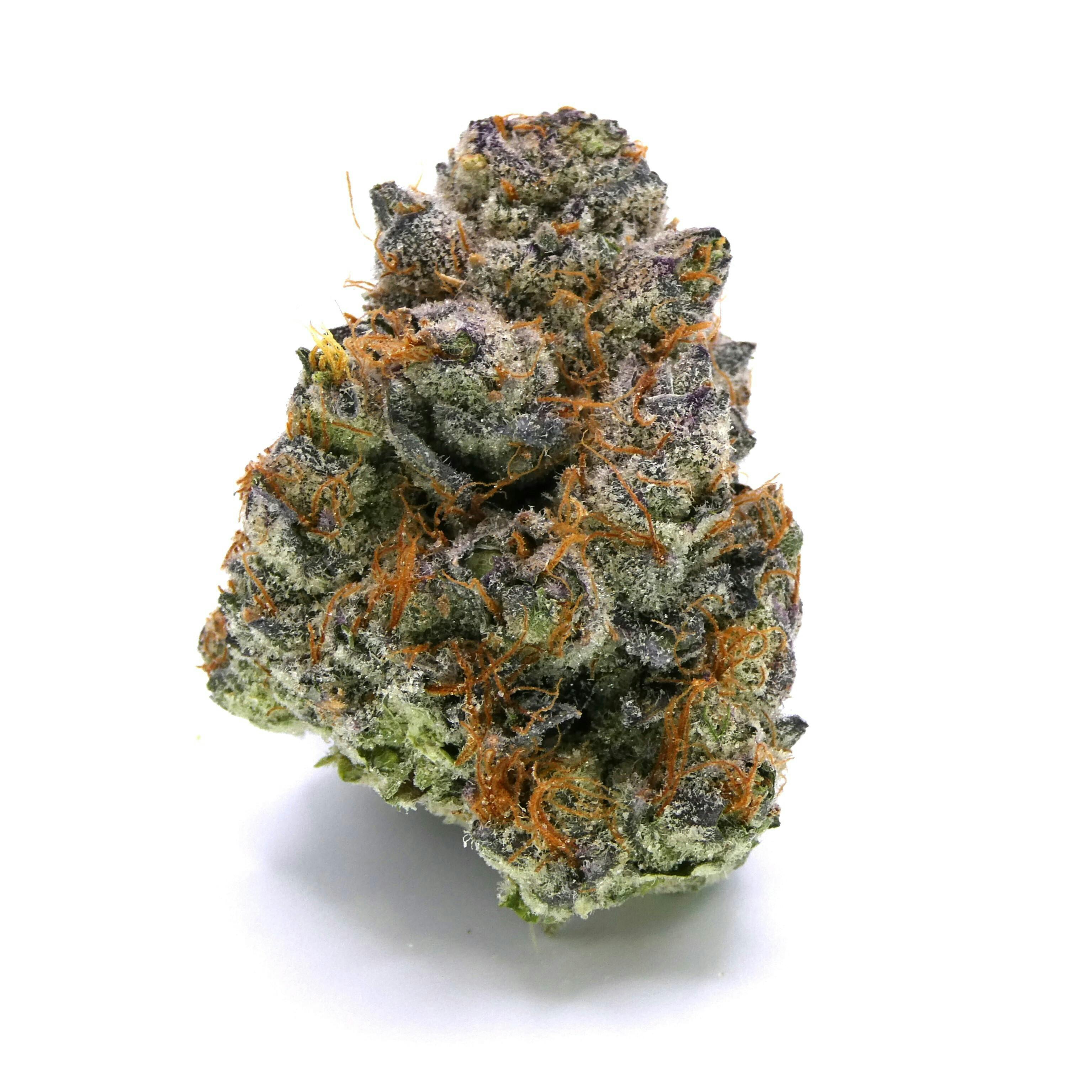 Gelato Punch Buds by Avitas