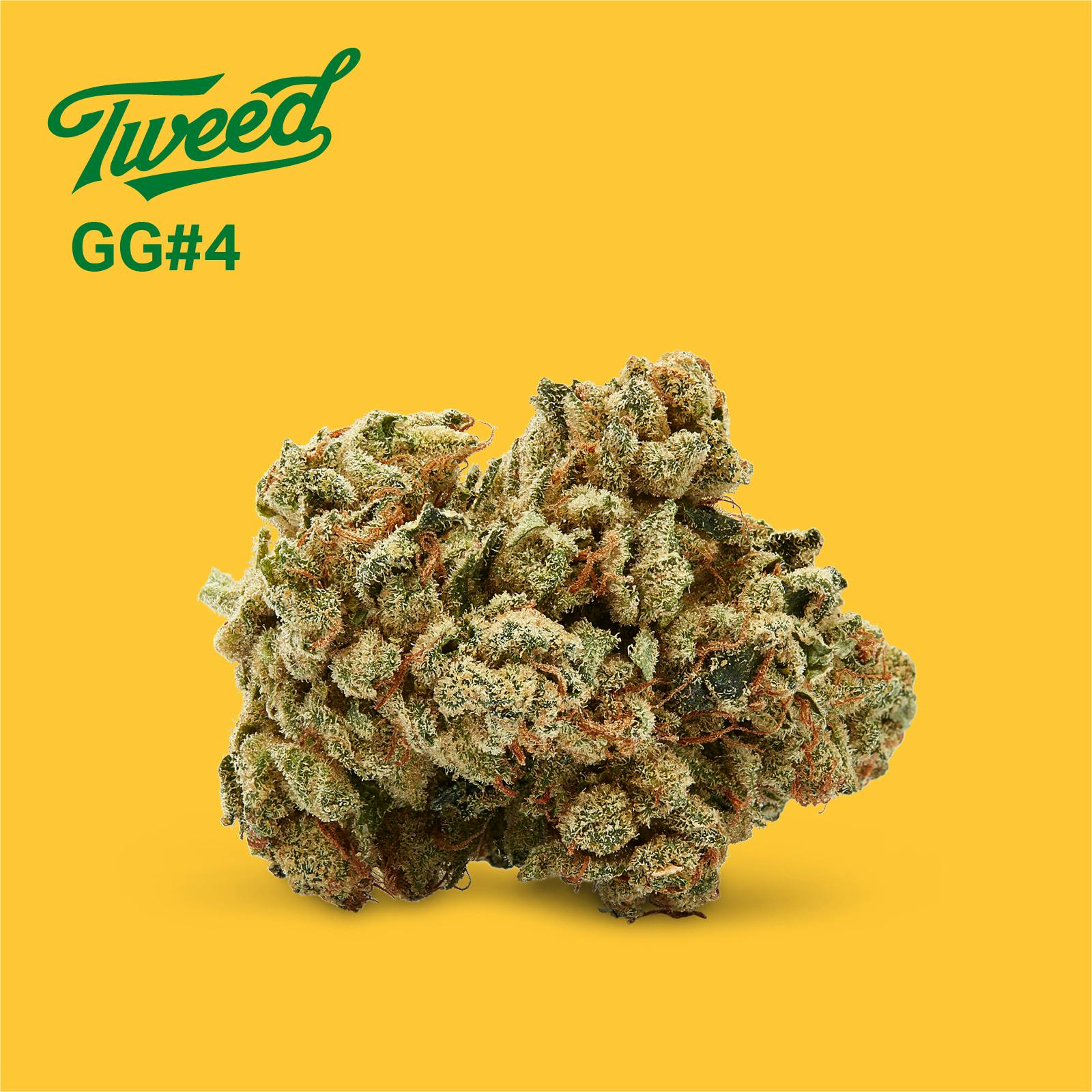 GG#4