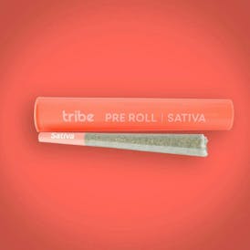 Pre-Roll - Sativa - 1g