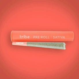 Pre-Roll - Sativa - 1g