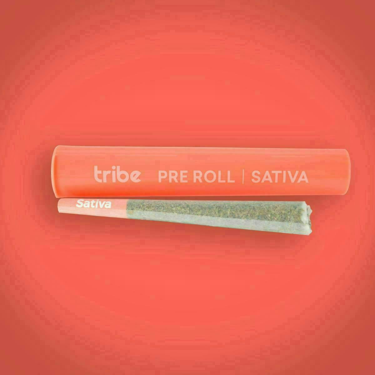 Tribe | Sativa | Joint | 1g