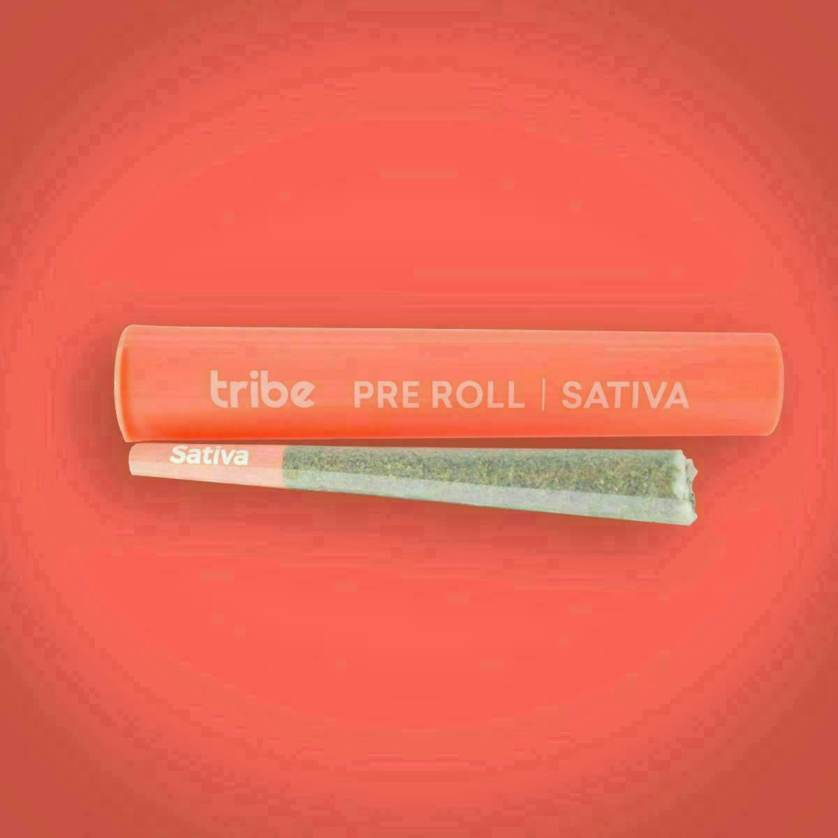 Tribe | Sativa | Joint | 1g by Tribe