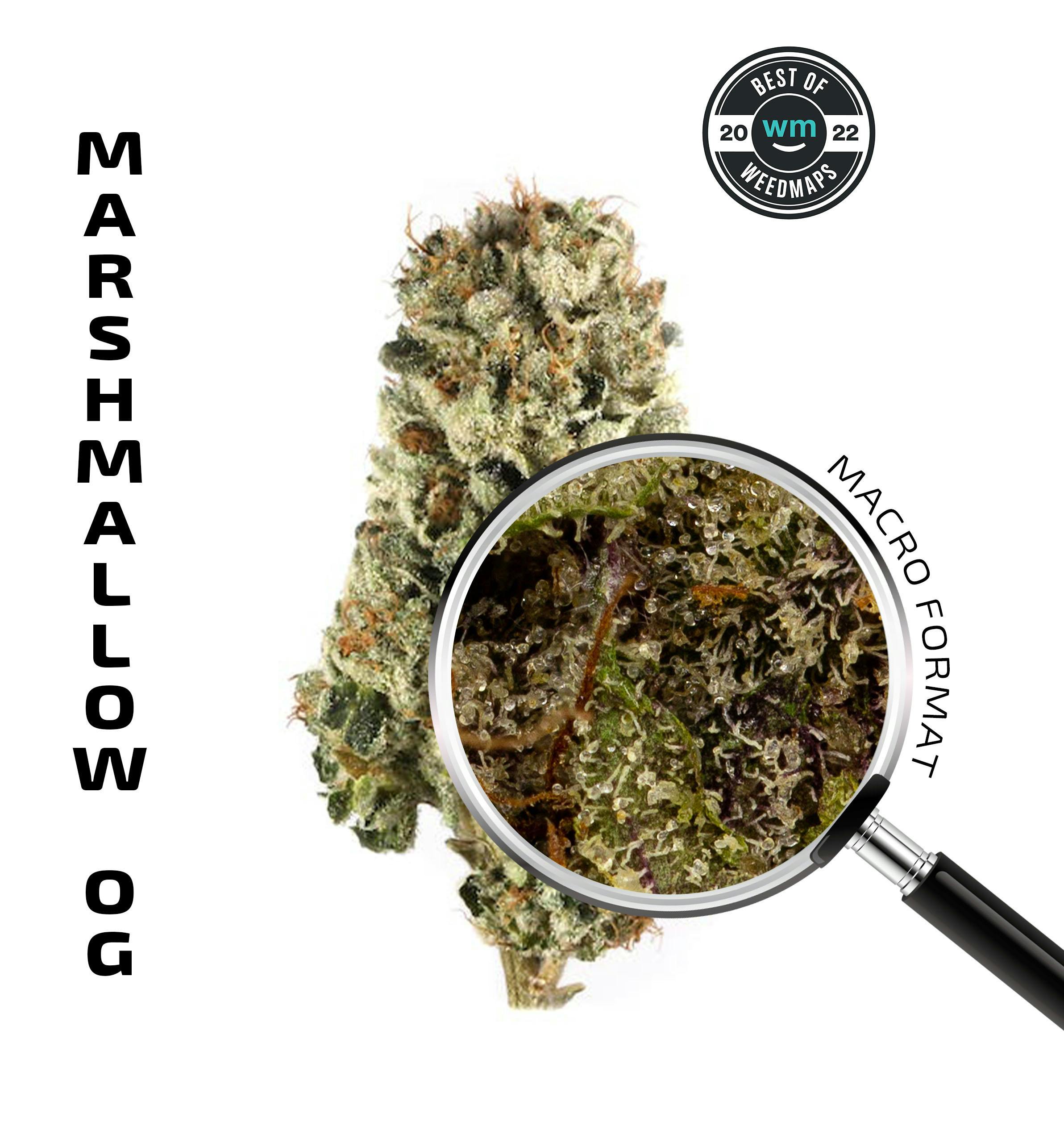APE Premium Cannabis Corp MARSHMALLOW OG (Indica) — 3.54g Premium Flower Weedmaps