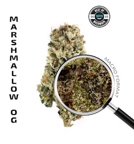 MARSHMALLOW OG (Indica) — 3.54g Premium Flower