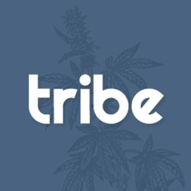 Tribe | Bowl Topper | THCA + Kief | 1g