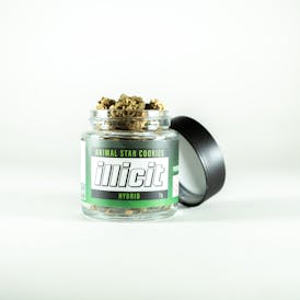 Animal Star Cookies 7G Popcorn Flower