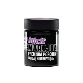 Hibernate 7G Popcorn Flower