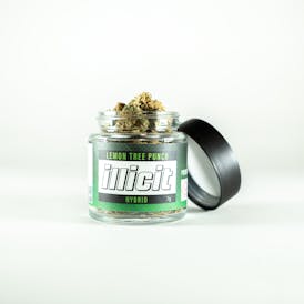 Lemon Tree Punch 7G Popcorn Flower